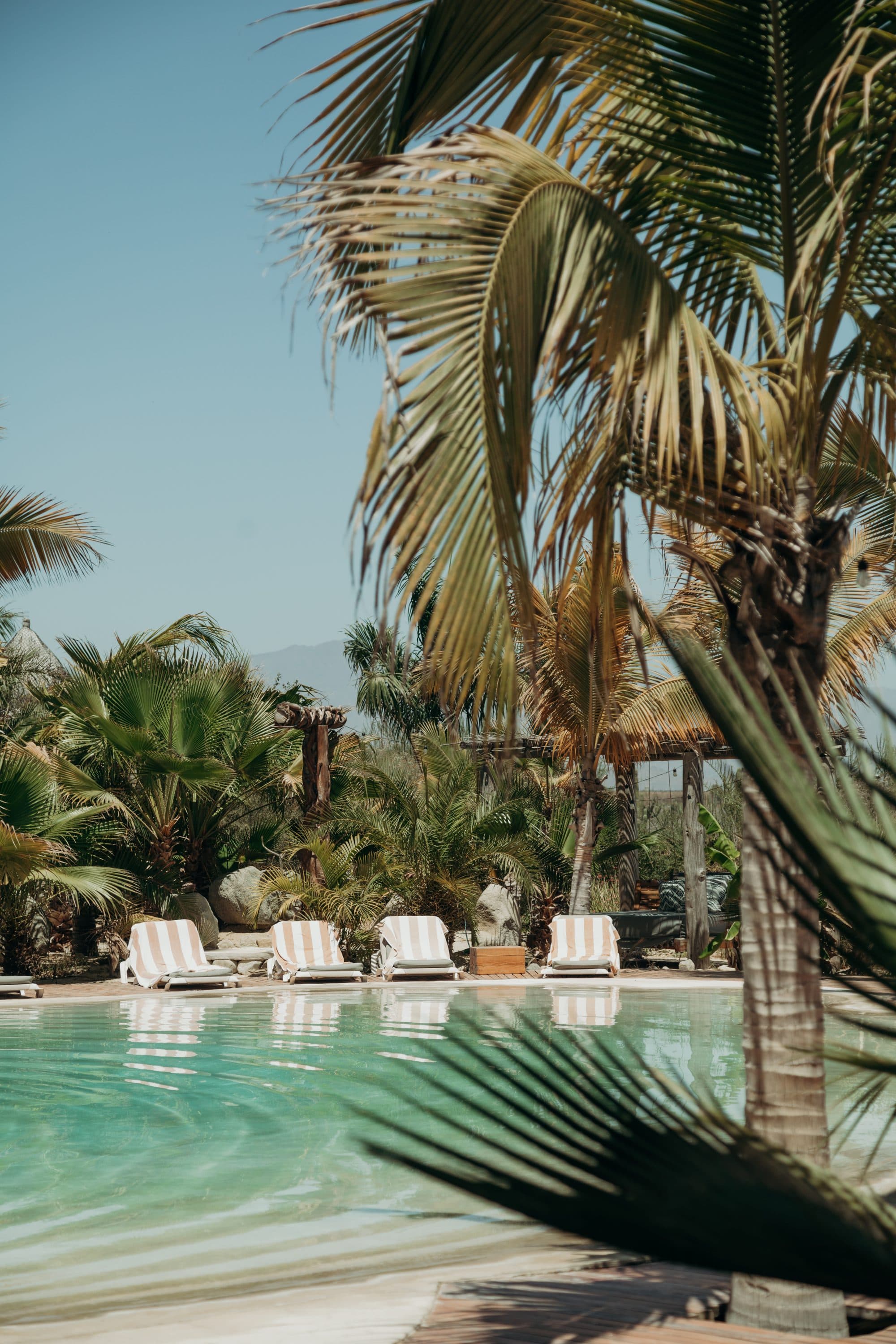 Pool and outdoor lounging spaces among the palms