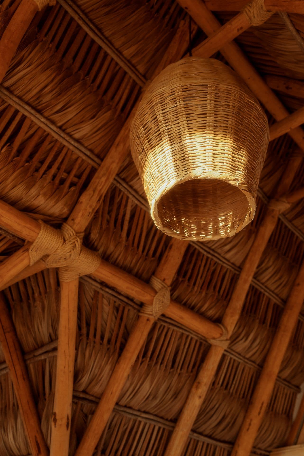 A Treehouse Suite at Hotel Damara