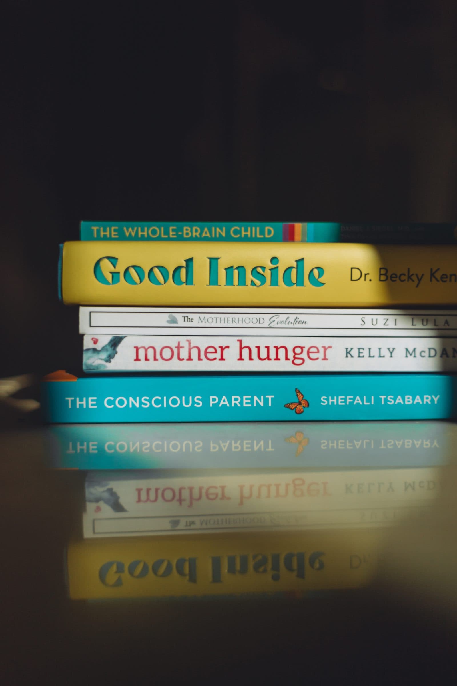 Books at the Casa Damara reading library