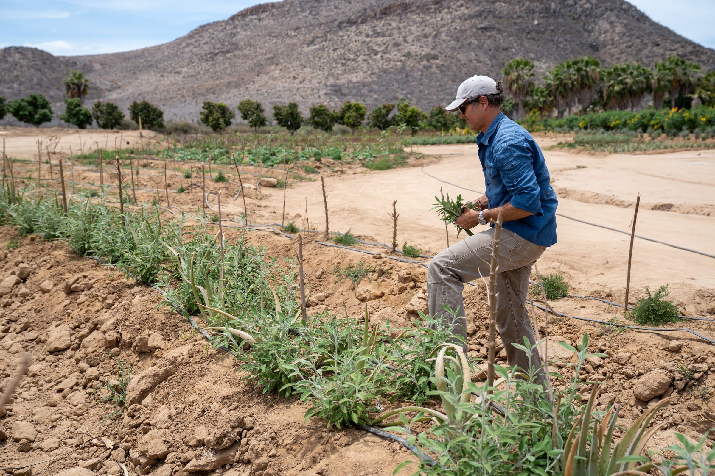 A monthly farm workshop at Casa Damara