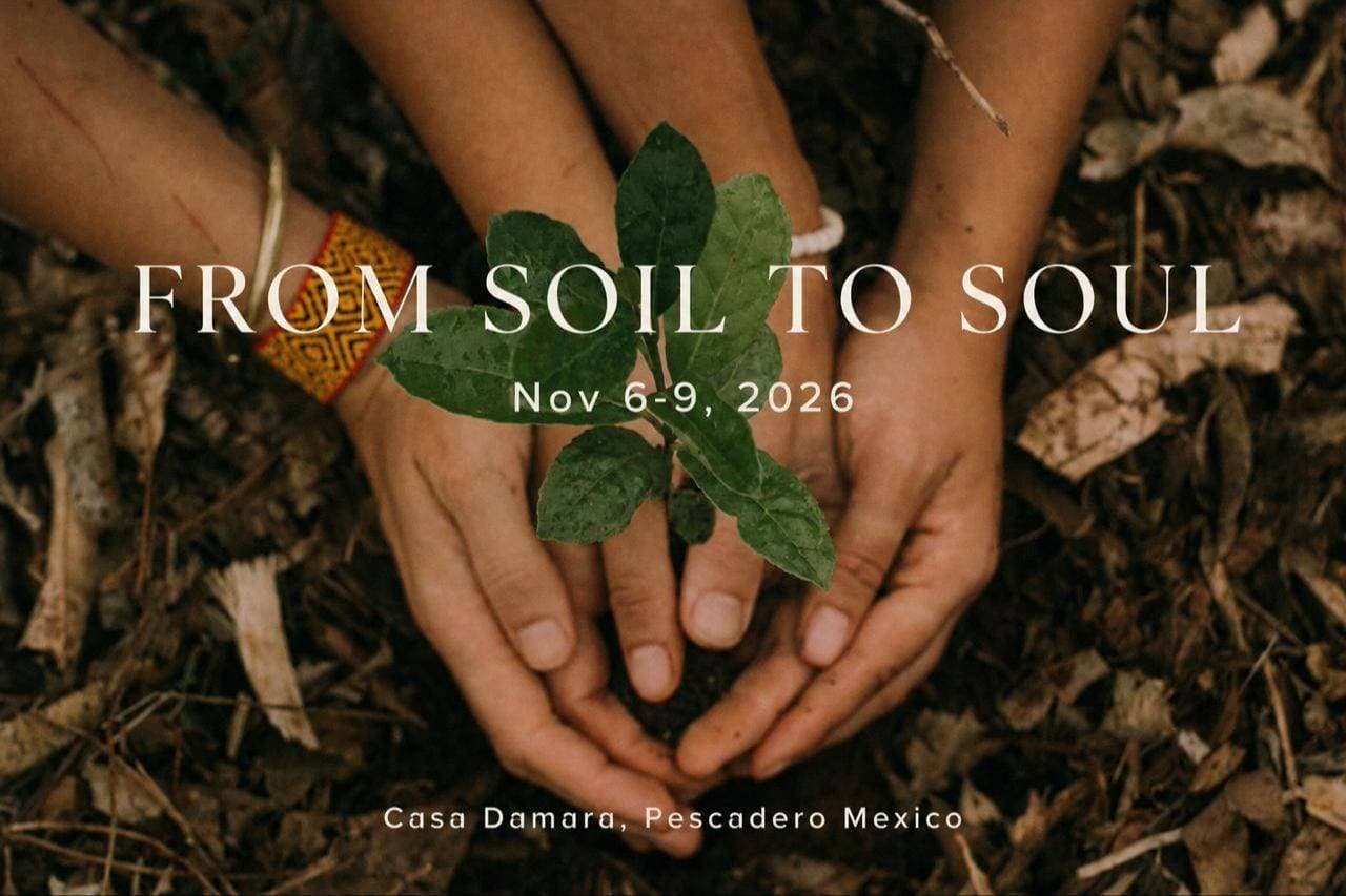 From Soil to Soul
